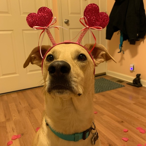 Meet your Posher - Picture 1 of 1